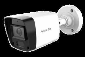 FE-IB2-30 ,  IP  2    /. 1/2,9' CMOS . 19201080, 25/30 /. Smart IR, DNR, DWDR .264+/H.265+ SMART .  f = 3,6 ,     30 .  ONVIF, R