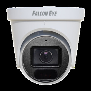 FE-ID4-30 ,  IP  4    /. 1/3 CMOS .  2560?1440, 20 /. Smart IR, DNR, DWDR .264+/H.265+ SMART .  f = 2,8 ,     30 .  ONVIF, RTSP, P2P.